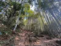 雞枕山：花崗岩森林嘅階梯呼吸術