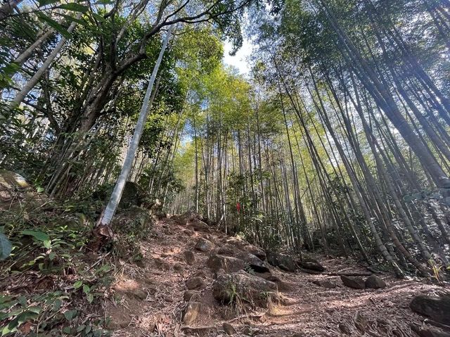 雞枕山：花崗岩森林嘅階梯呼吸術
