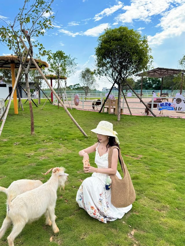 桂海晴嵐畢業季一齊嚟狂歡呢個夏天