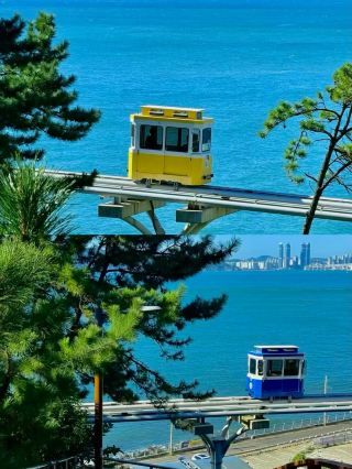 I gave up on Jeju Island because here...