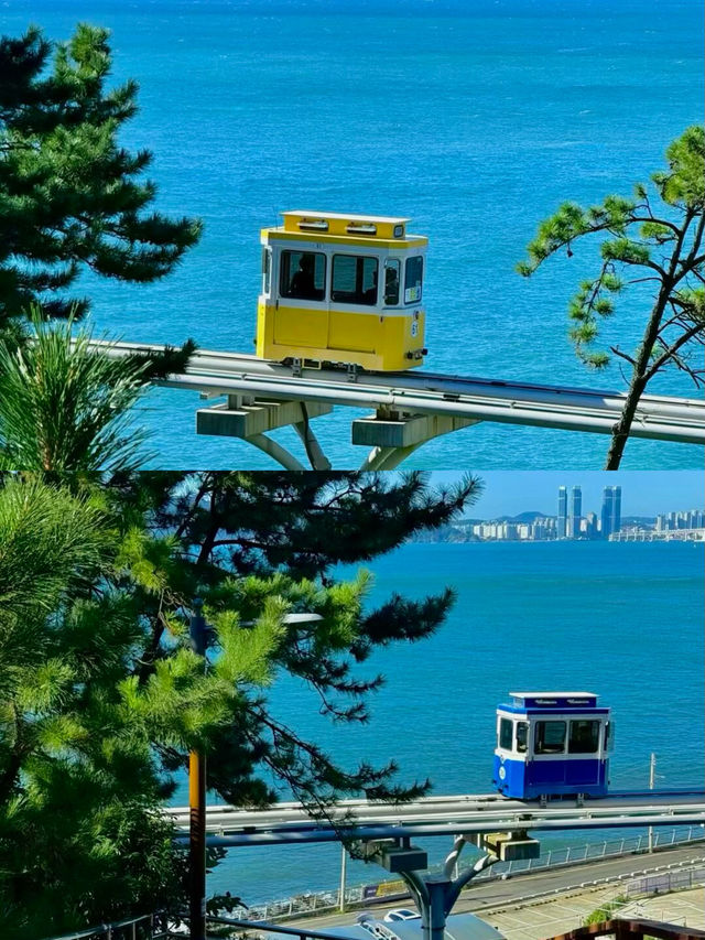 我放棄濟州島了，因為呢度……