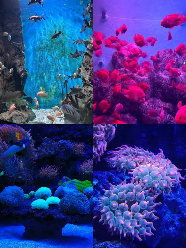 Not sure where to go in Changsha this summer vacation?? Look no further!!!