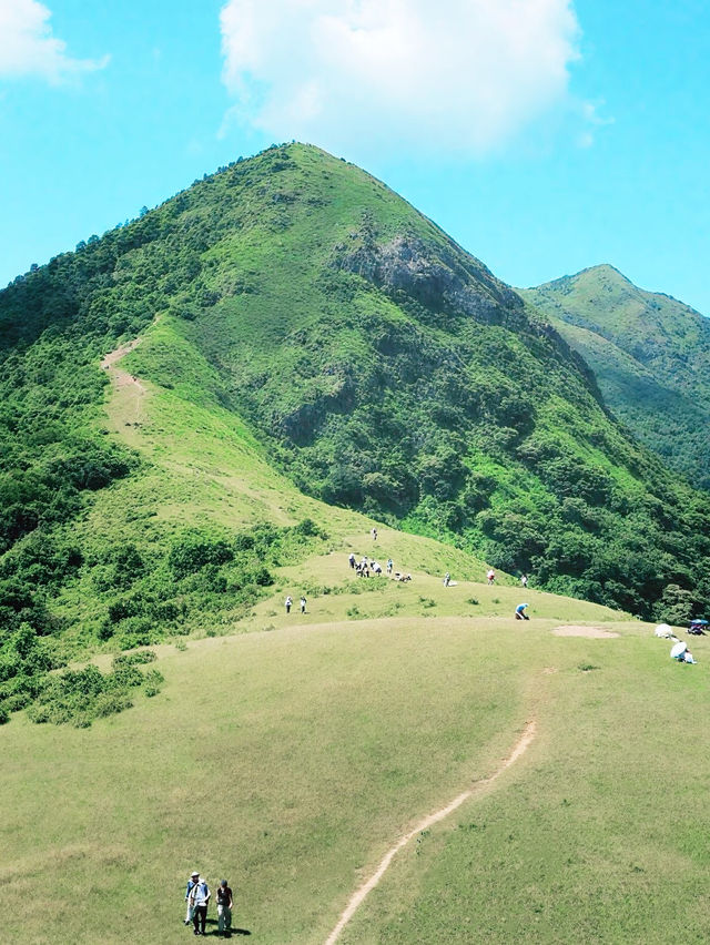 馬鞍山アンピンキャンプ場：香港の絶景を楽しむハイキング体験】**    