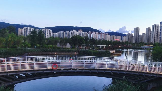 我愛平陽，我的城