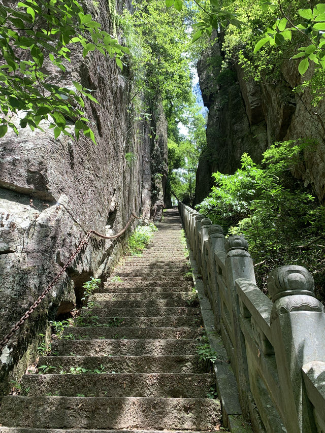 天目山·3日遊全攻略｜華東最後嘅原始森林  
【行程亮點】：  
72℃天然氧吧！一腳踏入神秘嘅大樹王國