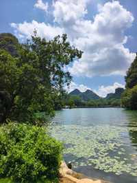 柳州龍潭公園影相避坑指南！避開人潮影出ins風大片
