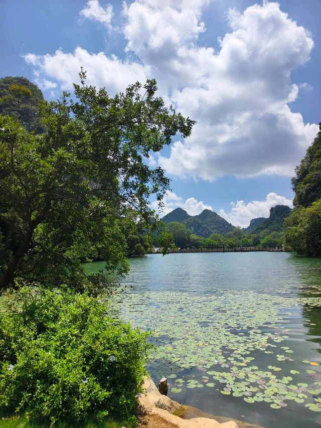 柳州龍潭公園影相避坑指南！避開人潮影出ins風大片