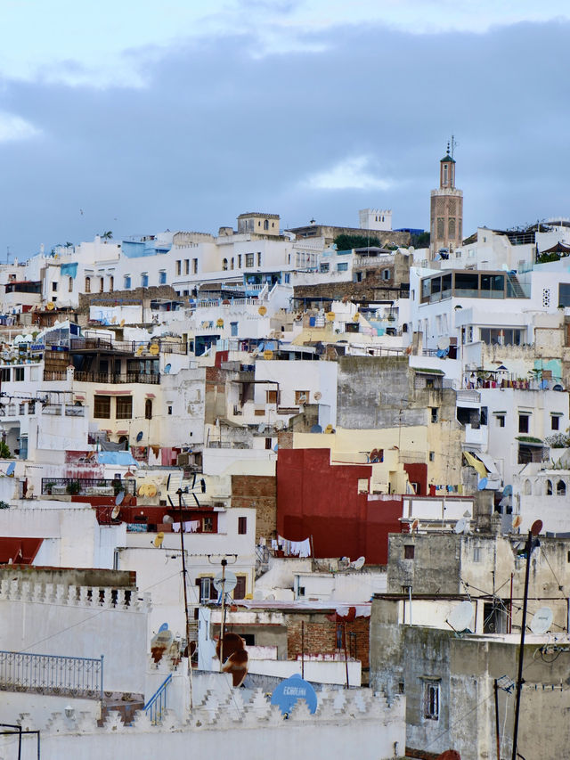 🇲🇦得土安｜西班牙風情的白色浪漫