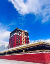去了甘南 N 次，這些掏心窩的建議請收好