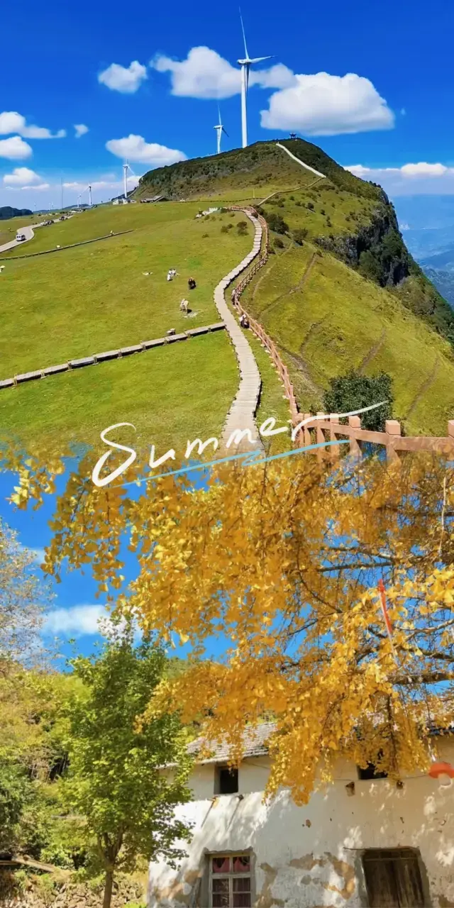 Liupanshui, this hidden summer paradise, I am willing to call it Guizhou's treasure!