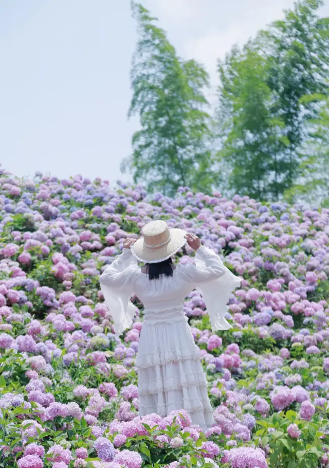 Budget 2000: 4 Days & 3 Nights in Hangzhou – Super Affordable!