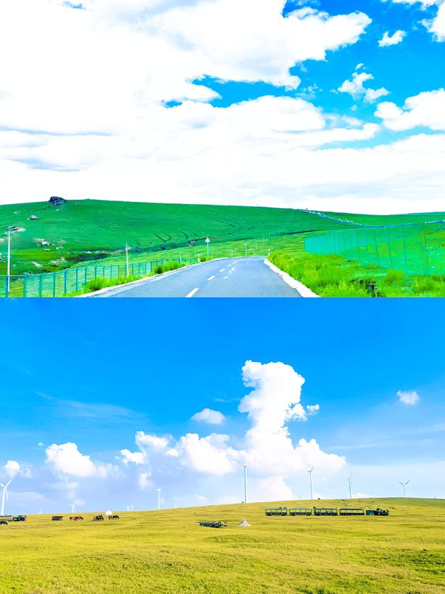 高鐵直達！小眾免擠人：黃花溝小火車穿越宮崎駿夏天