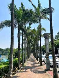 兩天一夜玩轉僑鄉！江門夏日避暑全攻略（附避雷指南） “誰說廣東沒有清涼夏天？這座華僑小城把荷風、海