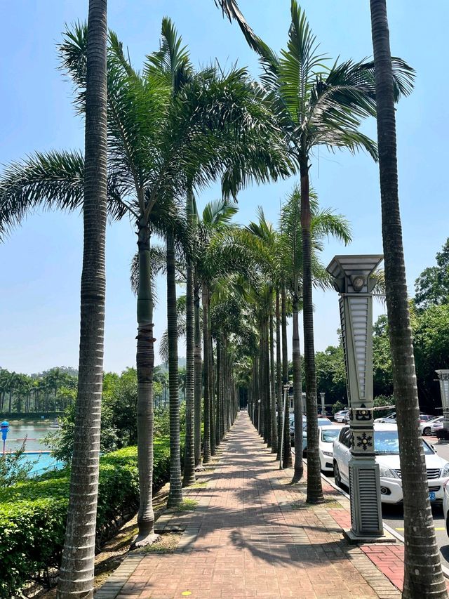 兩天一夜玩轉僑鄉！江門夏日避暑全攻略（附避雷指南） “誰說廣東沒有清涼夏天？這座華僑小城把荷風、海