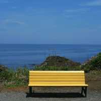 【東京周邊離島！初島的檸檬黃夏天太治愈啦～】