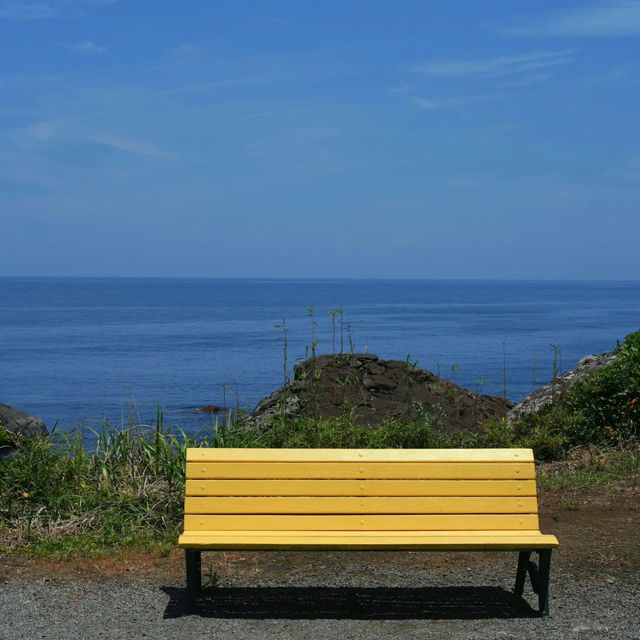 【東京周邊離島！初島的檸檬黃夏天太治愈啦～】