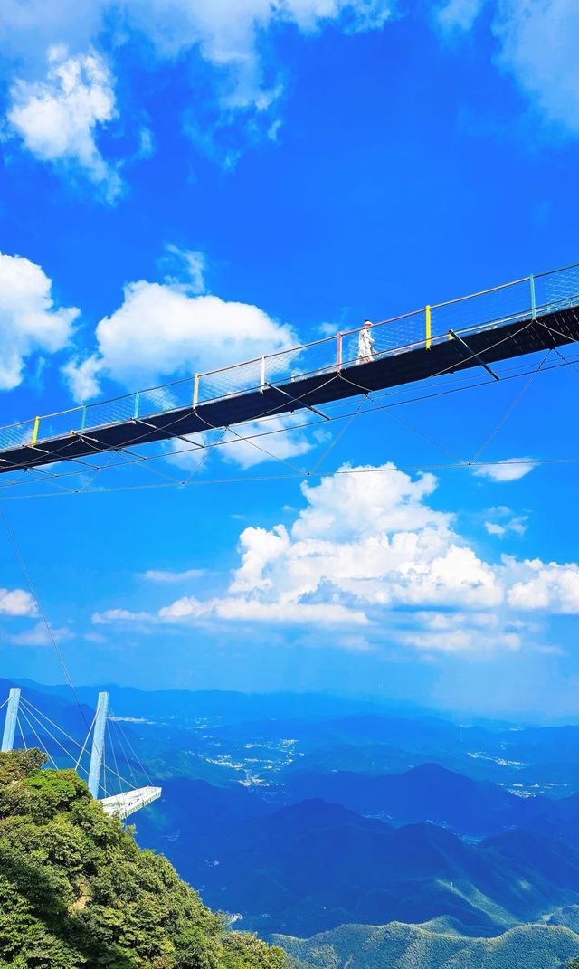 江浙滬避暑天花板！雲上草原超全攻略