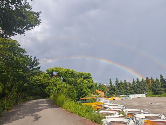 【貴州安順植物園向日葵花海深度遊】21℃清涼避暑