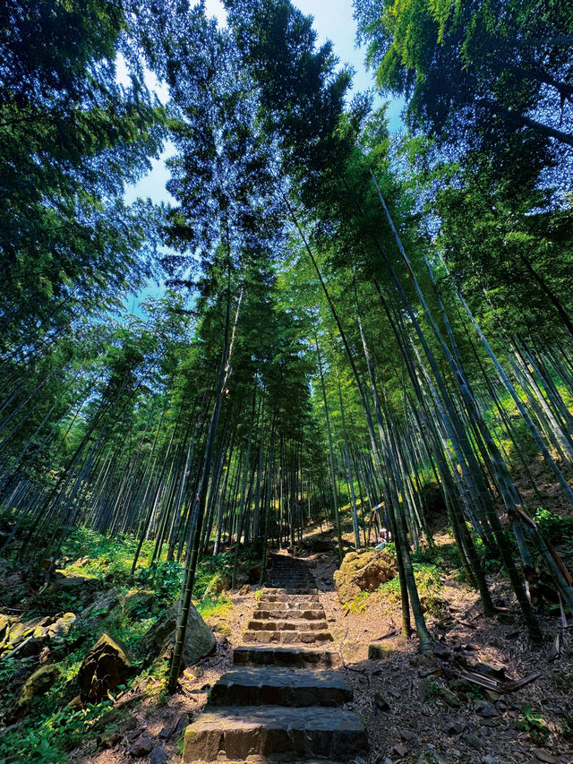 避暑勝地 宜興竹海