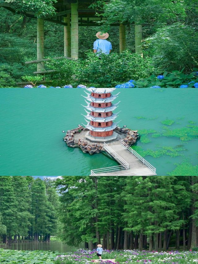 蘇州太湖寶藏地，呢間酒店錯過拍大髀