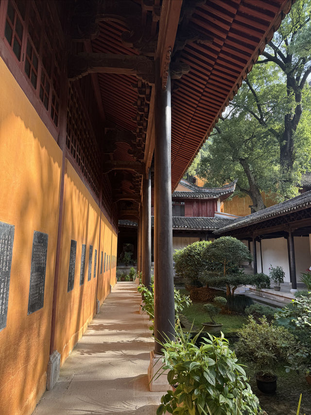 清晨對話掃地僧——享受國清寺早上的清幽