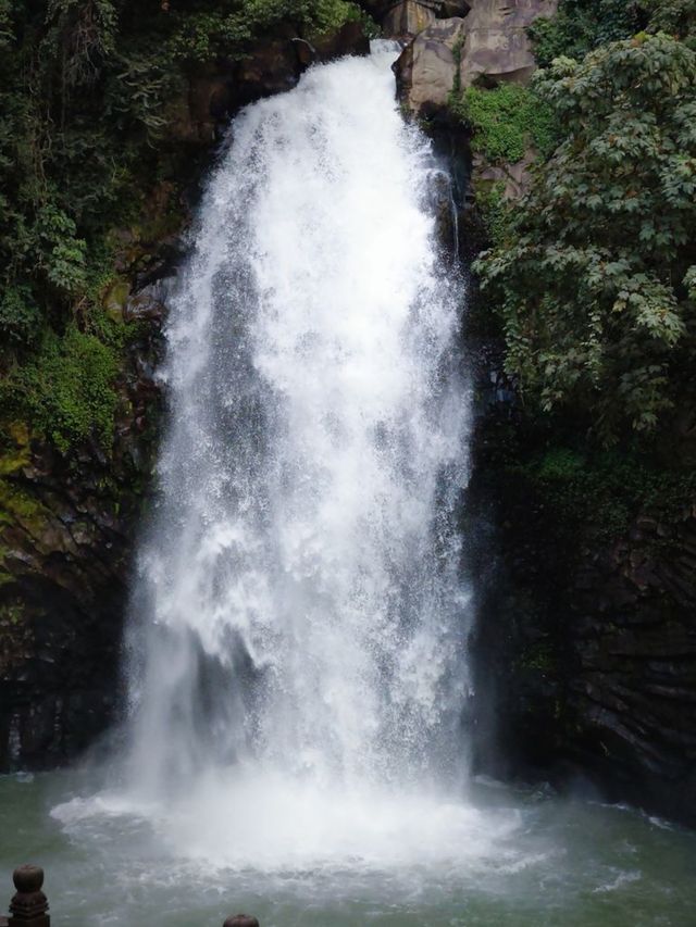 騰沖三日自然手札：雨林拓葉×古鎮炊煙×濕地枕月