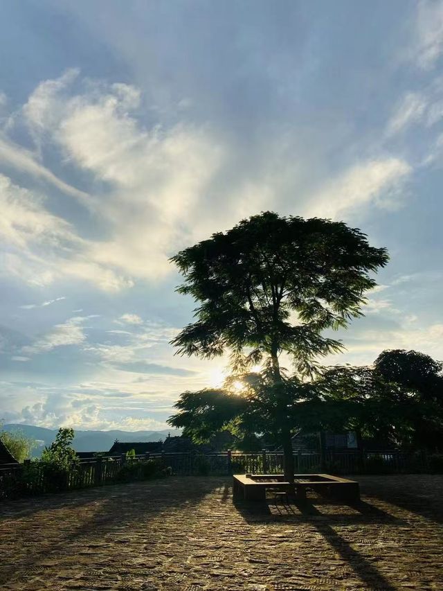 景邁山：隱藏在雲端的土著生活