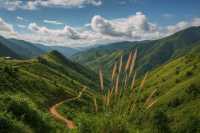 磐安隱藏避暑地!西產村小武功山