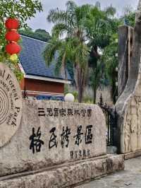 林海秘境・三明格氏栲國家森林公園的原始之美