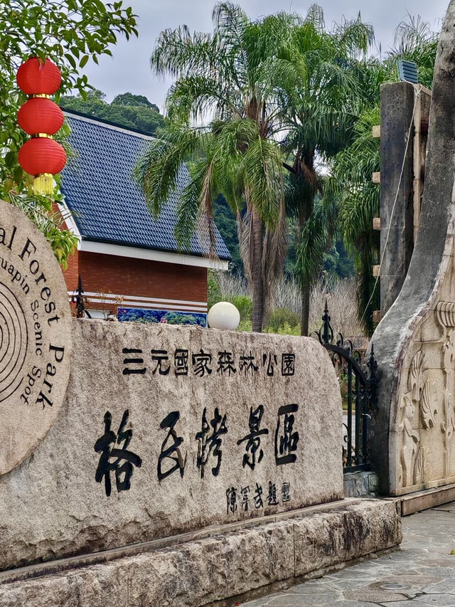 林海秘境・三明格氏栲國家森林公園的原始之美 林海秘境・三明格氏栲國家森林公園的原始之美