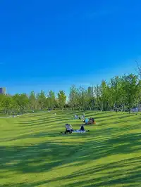 上海最好的公園都是免費的（合集附位置）