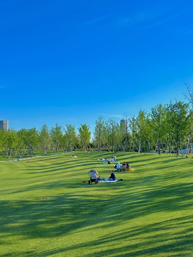 上海最好的公園都是免費的（合集附位置）