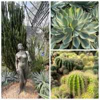 🌵闖入深圳沙漠星球！仙湖仙人掌園全攻略