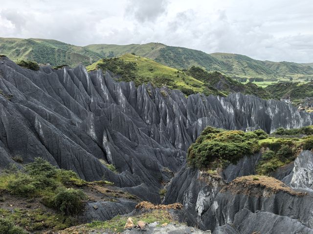 成都+都江堰+四姑娘山+稻城亞丁10日遊：從熊貓之都到天境之