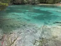 坐標西安，十一帶父母四川遊（第一篇）