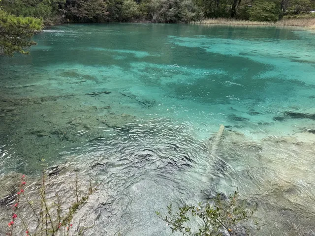 坐標西安，十一帶父母四川遊（第一篇）