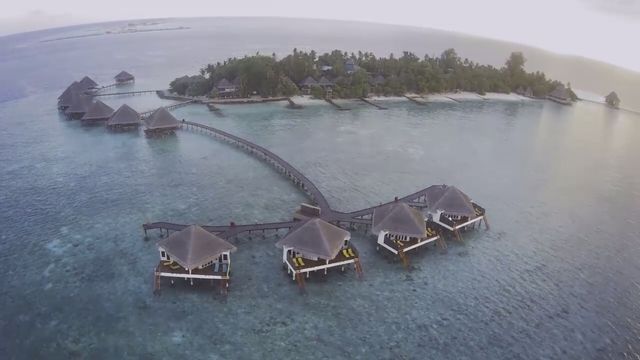 Romantic Island Honeymoon Experience