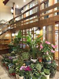麗江！！住進了莫奈花園客棧裡！！！