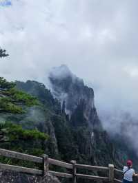 團結松，雨傘松，大王松皆迎客松