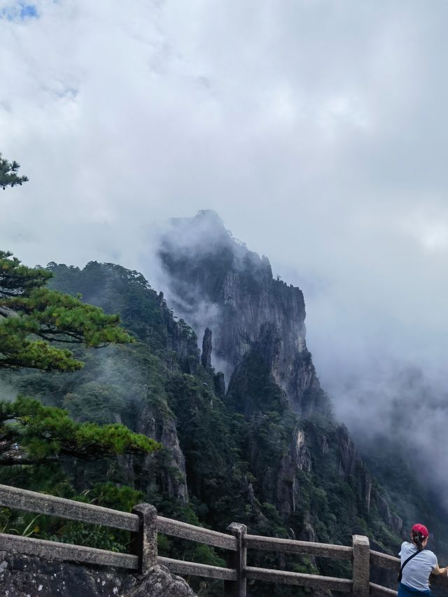 團結松，雨傘松，大王松皆迎客松