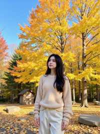 湖北秋遊零成本指南千年銀杏谷美到窒息