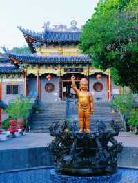 深圳這個三角梅盛開的海邊古寺，意境太美！