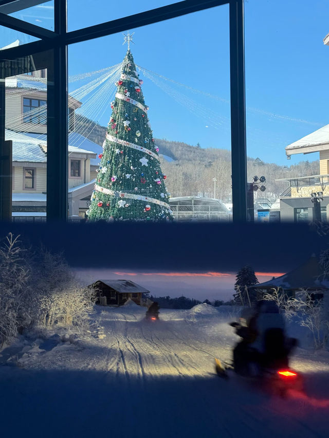 11月底長白山最美雪景攻略冰雪王國等你來打卡！
