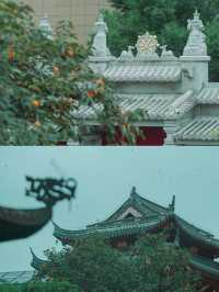 柿紅雀滿枝｜南京毗盧寺