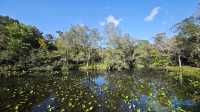 箱根濕生花園 —— 低調、但不可錯過的地方