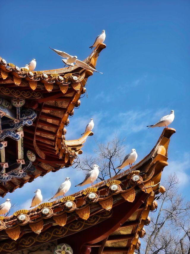 昆明必逛的名樓勝景——大觀樓
