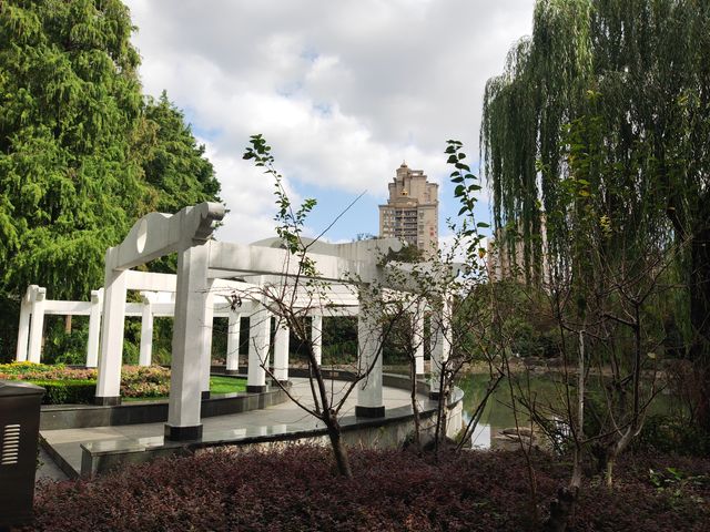 新虹橋公園漫步指南