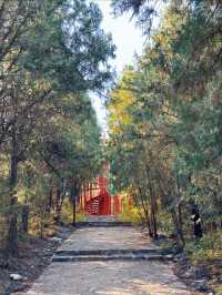 秋日漫步唐冶山公園