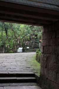 不要門票不要門票