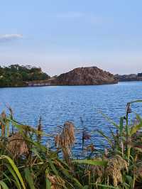 海寧神仙湖：自然與時光的詩意交響